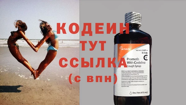ECSTASY Бородино