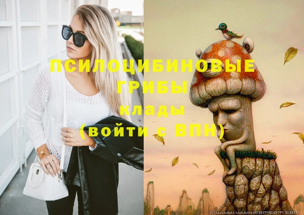 сатива Богородицк