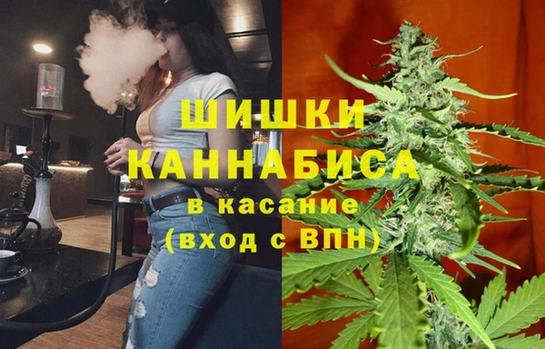 сатива Богородицк